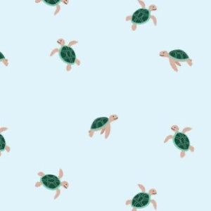 sea turtles