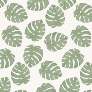 monstera leaves