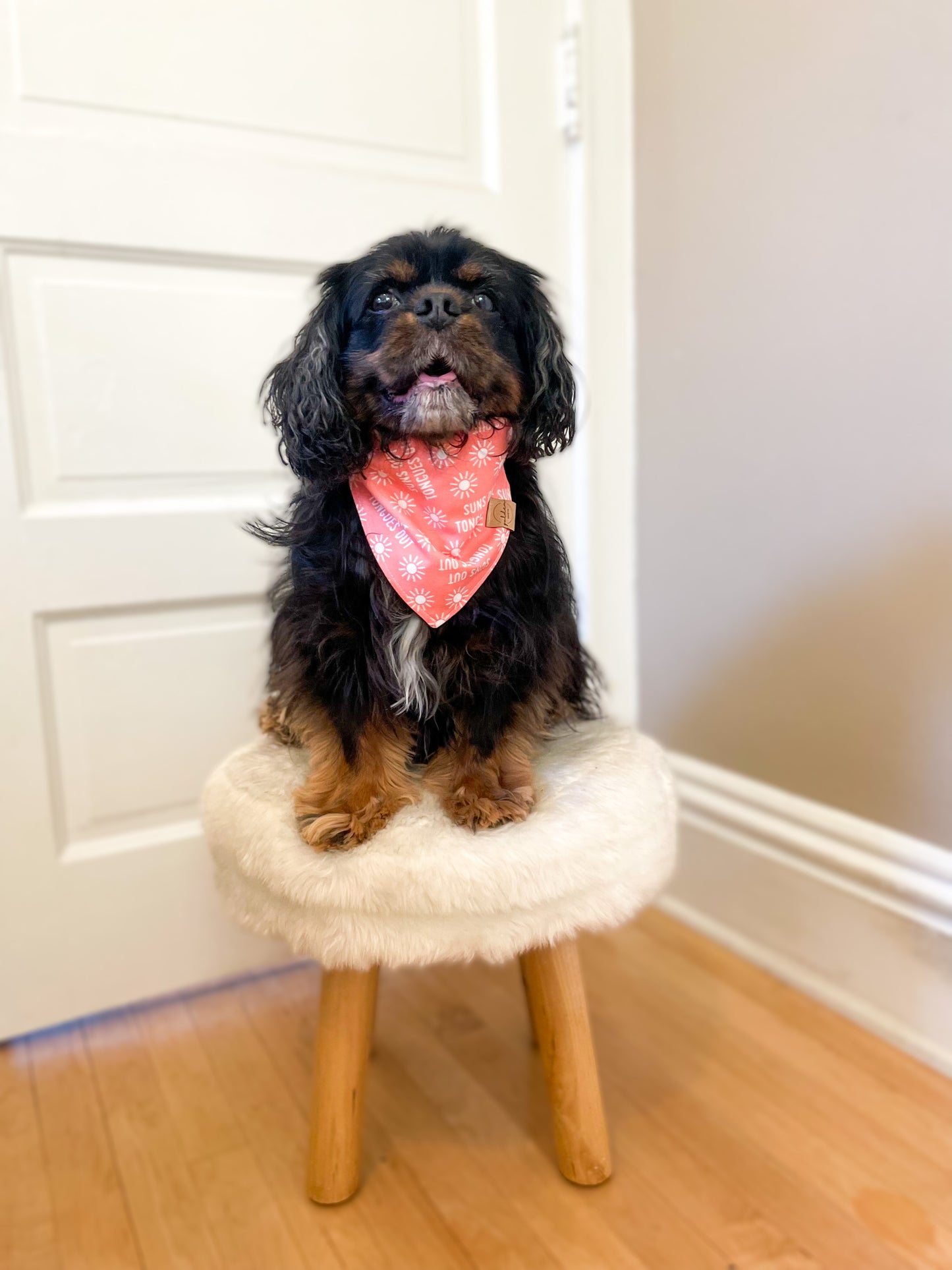 suns out, tongues out! • coral