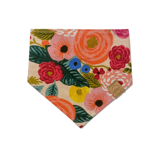 juliet rose • blush