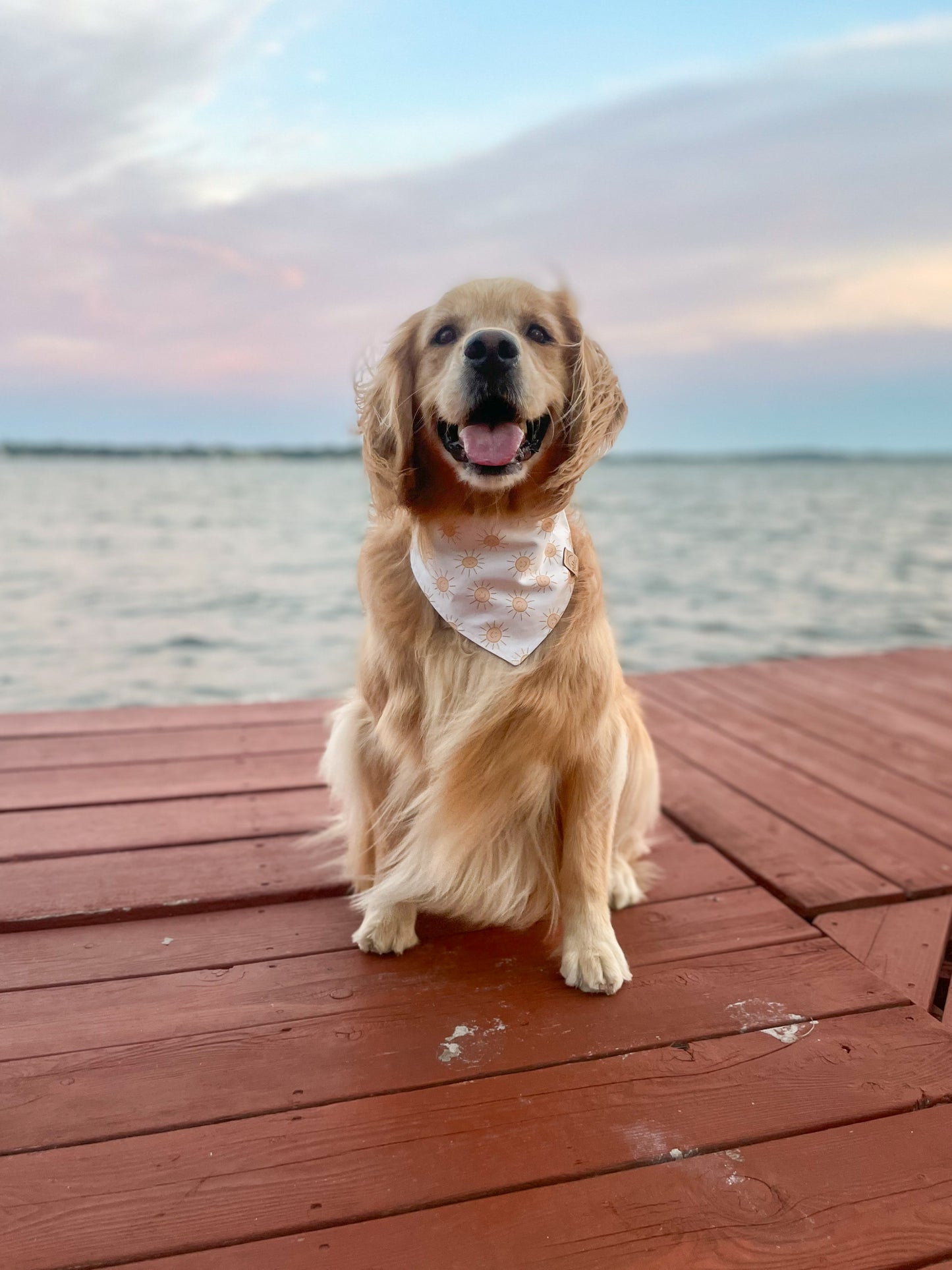 little ray of sunshine :)