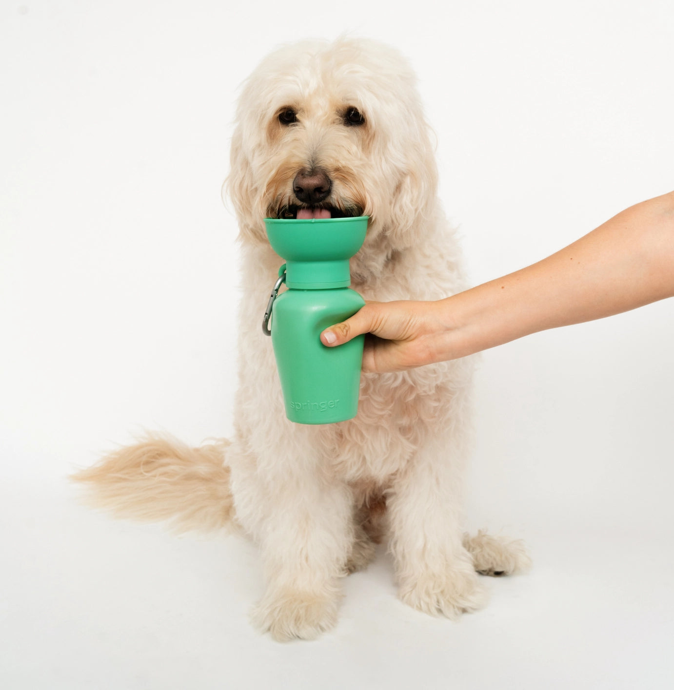 travel water bottle • flip