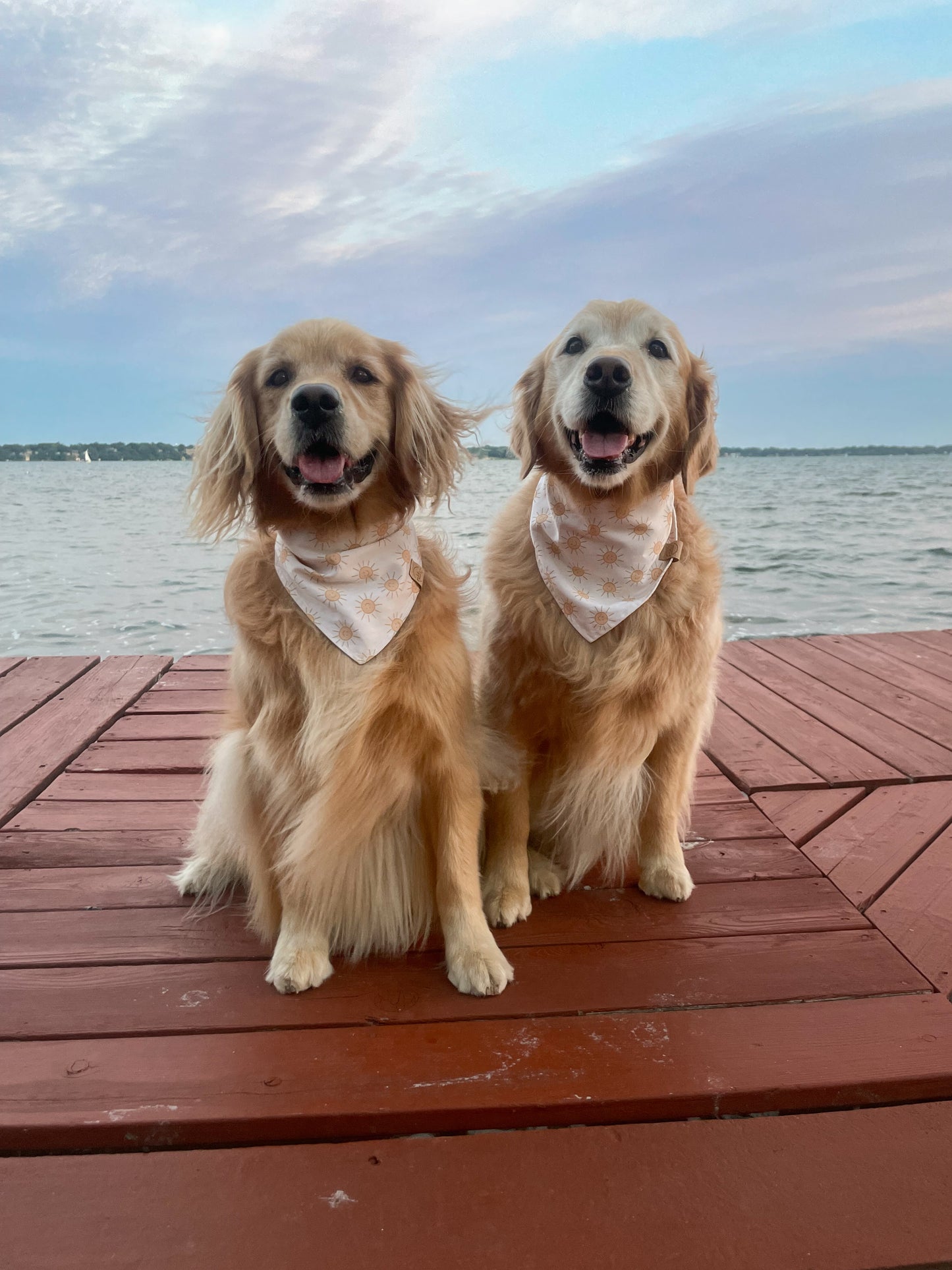 little ray of sunshine :)