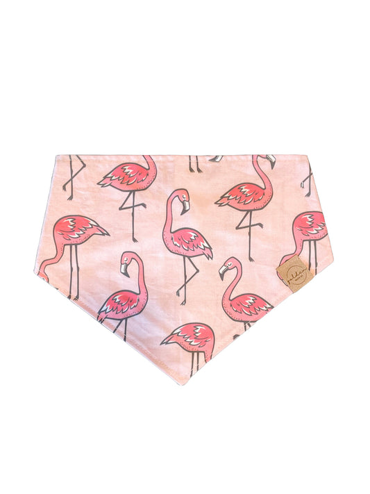 let's flamingle!
