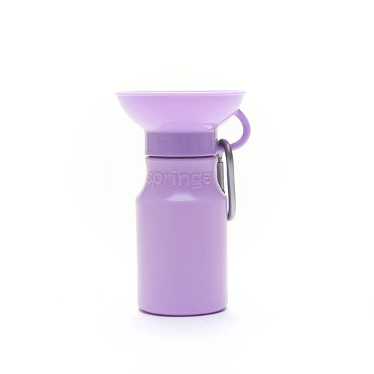 travel water bottle • mini