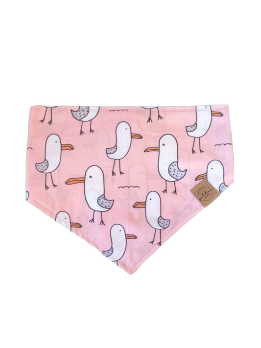 little sally seagull